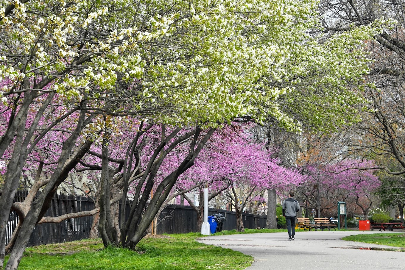 McCarren Park